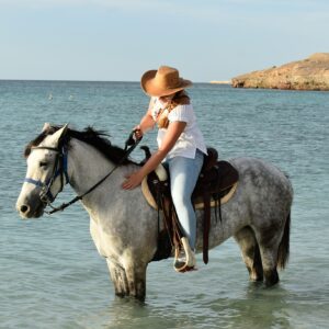 La Paz - Morning Horseback Ride & Breakfast