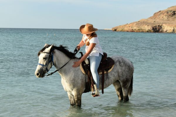 La Paz - Morning Horseback Ride & Breakfast