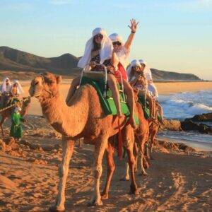 Cabo San Lucas - Camel Ride on the Beach