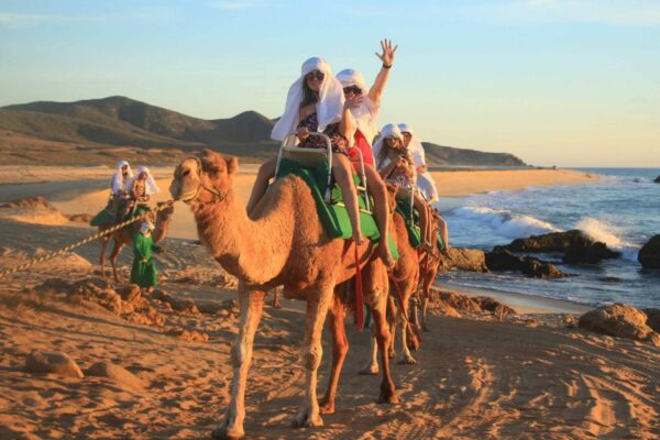 Cabo San Lucas - Camel Ride on the Beach