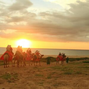 Cabo San Lucas - Sunset Beach Tour - Horse/Camel/ATV