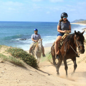 Cabo San Lucas - Horseback Riding Begginers & Novice