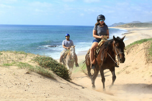 Cabo San Lucas - Horseback Riding Begginers & Novice