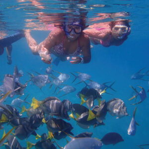 Cabo San Lucas - Snorkeling at Lovers Beach