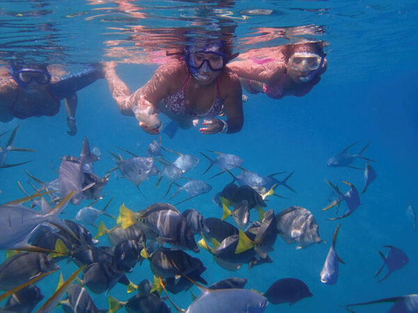 Cabo San Lucas - Snorkeling at Lovers Beach