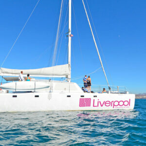 La Paz - Whale Shark Swimming - All Inclusive