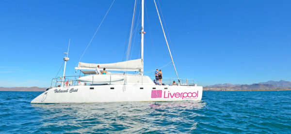 La Paz - Whale Shark Swimming - All Inclusive