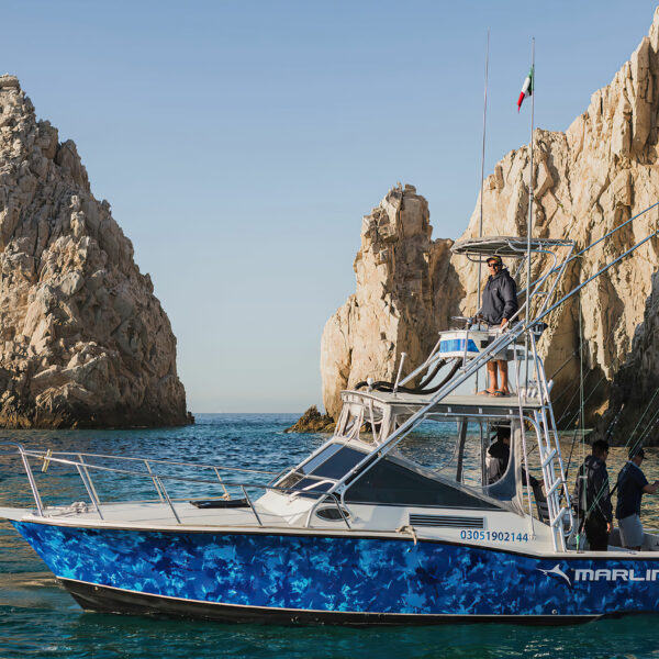 Cabo San Lucas - Cabo Marlini 31