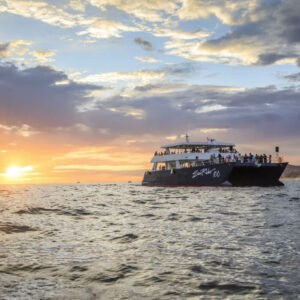 Cabo San Lucas - Sunset Dinner Cruise – Sun Rider