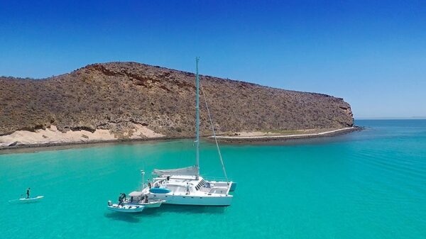 La Paz - Baja Cat - All Inclusive Half-Day Cruise