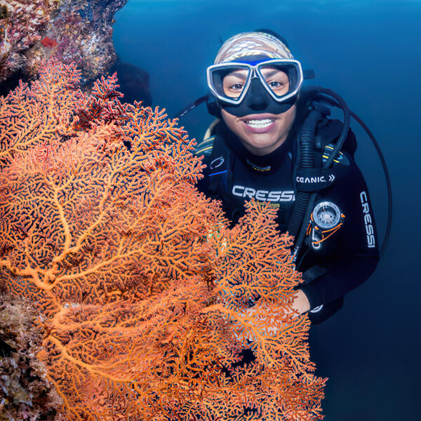 La Paz - Day Diving - 2 Tank Dive Tour