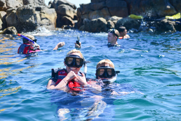 Cabo San Lucas - Guided Snorkel