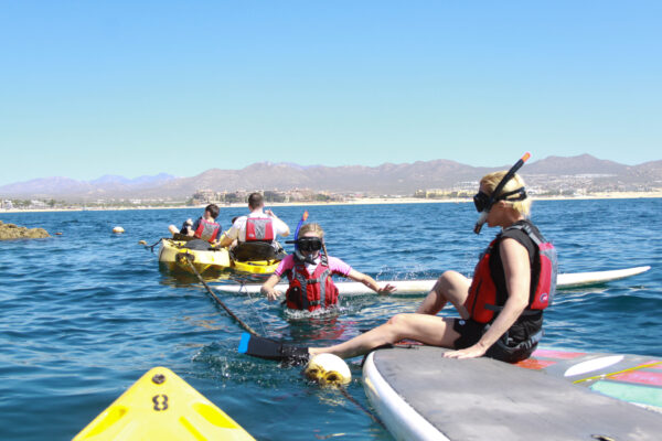 Cabo San Lucas - Paddle Boarding and Snorkel at The Arch