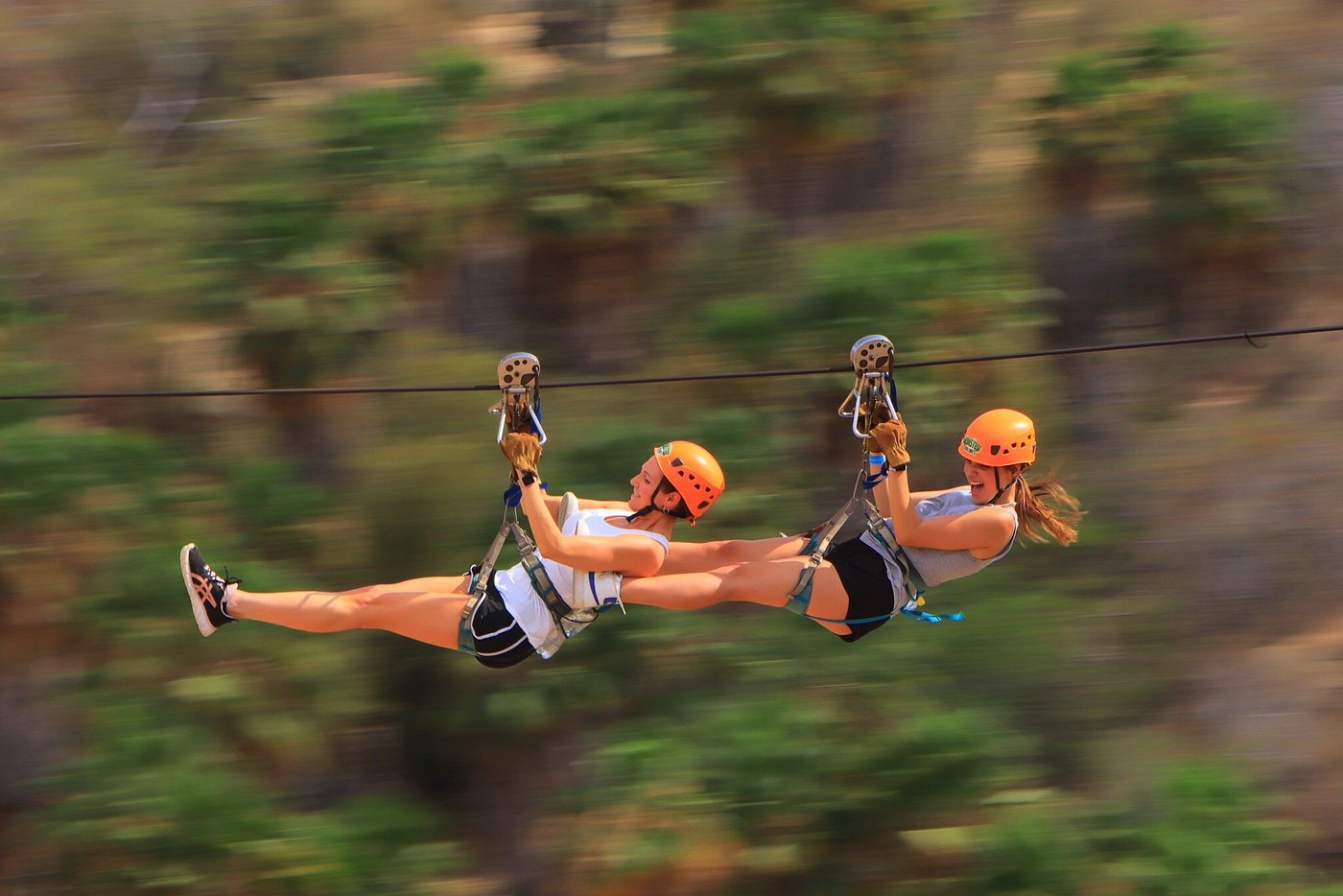 Monster Ziplines - Funcabo